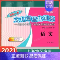 2021版上海中考一模卷[语文] 试卷 九年级/初中三年级 [正版]2020年版上海中考一模卷中考语文+数学+英语+物理