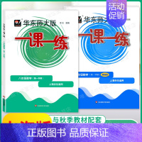 8年级上 增强版 [数学] 小学通用 [正版]上海华东师大版一课一练一年级二年级三四五六七八九年级下册上册语文数学英语牛