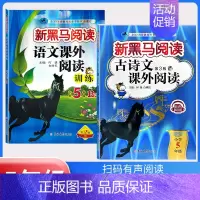 下册》古诗文阅读+课外阅读训练B版[2本] 小学五年级 [正版]2024英语五年级 小学英语阅读理解专项训练题课外拓展强