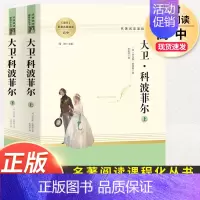 大卫科波菲尔.名著阅读课程化.南方出版社 [正版]完整版上下2册 大卫科波菲尔 查尔斯狄更斯著宋兆霖译原著原版英文版全译