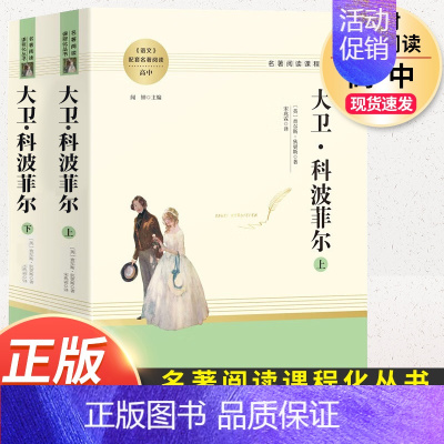 大卫科波菲尔.名著阅读课程化.南方出版社 [正版]完整版上下2册 大卫科波菲尔 查尔斯狄更斯著宋兆霖译原著原版英文版全译