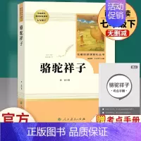 骆驼祥子 人民教育出版社 [正版]湘行散记白洋淀纪事 全2册 人民教育出版社完整版 人教版初中生青少年七年级上册必读 原