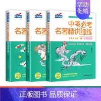 [全3册]中考必考名著精讲细练 初中通用 [正版]名著导读考点精练初中必读名著导读与考点一本通七八九年级中考必考名著考点