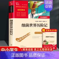 细菌世界历险记-彩插励志版-南方出版社 [正版]灰尘的旅行四年级上下册 高士其人教版小学生必读的课外书 快乐读书吧4下阅