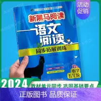 阅读同步拓展训练B版 小学五年级 [正版]2024版新黑马阅读五年级 语文现代文课外阅读同步强化专项训练小学生5年级上册