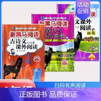 古诗文+现代文+课外阅读训练 A版[3本] 小学四年级 [正版]2024新版 新黑马阅读四年级 现代文+古诗文课外阅读训