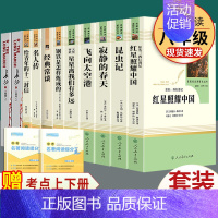 全套11本]八年级上下册经典常谈名著 人教版 [正版]八年级上册下册必读名著 长征红星照耀中国昆虫记钢铁是怎样炼成的经典