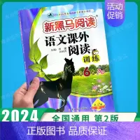 课外阅读训练A版 小学六年级 [正版]2024新黑马阅读六年级 英语听力训练+阅读训练 6年级上册下册全一册 小学六年级