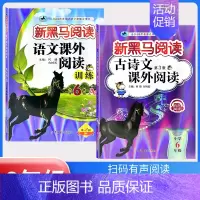 古诗文阅读+课外阅读训练A版[2本] 小学六年级 [正版]2024新黑马阅读六年级 英语听力训练+阅读训练 6年级上册下