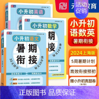 小升初 语数英 全3本 [正版]小升初暑假衔接语文数学英语暑期衔接名校小升初真题卷同步基础知识梳理阅读技巧掌握小升初总复