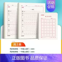 [加强练习3本]一年级上册+每日30字 [正版]一年级字帖练字每日30字二三四年级上册下册儿童减压小学生语文同步练字帖人