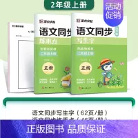 [升级2本装]2年级上册 [正版]小学生一二三年级上册练字四五六年级下册每日一练人教版语文同步练字帖生字描红练习册儿童控