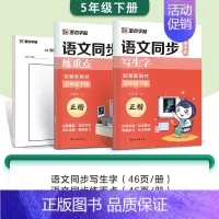 [升级2本装]5年级下册 [正版]小学生一二三年级上册练字四五六年级下册每日一练人教版语文同步练字帖生字描红练习册儿童控