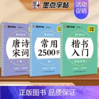 [3册]唐诗宋词+楷书入门+楷书常用2500 [正版]练字宝楷书凹槽练字帖3本装初学者成人手写练字男生女生字体漂亮字钢笔