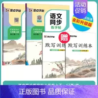 [初中生2本装][语文同步]8年级上册+下册 初中通用 [正版]正楷字帖初中生临摹练字初中名著阅读与摘抄字帖女生字体漂亮