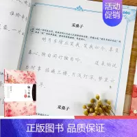 [正版]钢笔字帖成年楷书硬笔书法字帖描红字帖正楷纳兰性德饮水词湖北美术出版社字帖楷书高中生小学儿童荆霄鹏楷书字帖