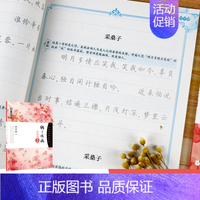 [正版]钢笔字帖成年楷书硬笔书法字帖描红字帖正楷纳兰性德饮水词湖北美术出版社字帖楷书高中生小学儿童荆霄鹏楷书字帖