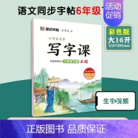 [语文临摹]6年级下册 小学六年级 [正版]六年级上册语文字帖练字小学生硬笔书法字帖一课一练墨点字帖新版小学生语文同步练
