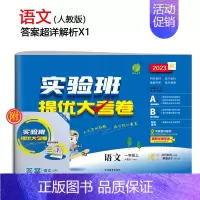 [人教版]语文 一年级下 [正版]2023旧版实验班提优大考卷一二三四五六年级上下册语数英全套人教版苏教版北师大同步练习