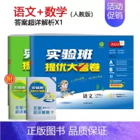 [人教版]语文+数学 六年级下 [正版]2023旧版实验班提优大考卷一二三四五六年级上下册语数英全套人教版苏教版北师大同