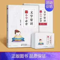 小学[文学常识]知识大全(赠配套练习)+速记卡片 初中通用 [正版]初中语文文学常识大全书题库中国古代文学知识点归纳总结