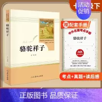 [七下]骆驼祥子(赠配套考点手册) 初中通用 [正版]易蓓西游记朝花夕拾原著人民教育出版社初一七年级上册经典文学世界名著
