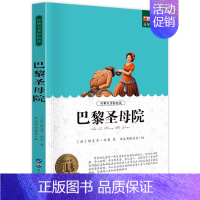 巴黎圣母院 [正版]小学生初中必读名著全套昆虫记童年爱的教育稻草人书三年级课外书四五六年级课外阅读书籍书排行榜城南旧