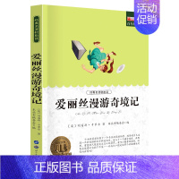 爱丽丝漫游奇境记 [正版]小学生初中必读名著全套昆虫记童年爱的教育稻草人书三年级课外书四五六年级课外阅读书籍书排行榜