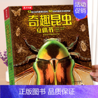 [奇趣昆虫]60多种昆虫深度揭秘 [正版] 恐龙3d立体书儿童3-6-12岁以上翻翻趣味科普恐龙太空海洋世界一年级小学生