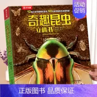 [奇趣昆虫]60多种昆虫深度揭秘 [正版] 恐龙3d立体书儿童3-6-12岁以上翻翻趣味科普恐龙太空海洋世界一年级小学生