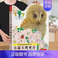 触摸书⭐小猫头鹰 [正版] 触摸书0-3岁幼儿早教亮丽精美小兔比利儿童启蒙洞洞翻翻婴儿宝宝益智触感刺激不易撕烂早教认知幼