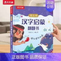汉字启蒙⭐数字篇 [正版]神奇的汉字立体书儿童识字认字卡片书3-6-8-10岁学前幼儿幼小衔接汉字3D机关书启蒙人类篇绘