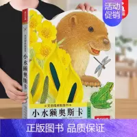 触摸书❤小水獭[加厚升级版] [正版] 触摸书小熊波比幼儿早教亮丽精美小兔比利婴儿宝宝0-3岁宝宝书本认知不易撕烂感官刺
