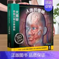 人体的奥秘 [正版] 汽车王国立体书交通工具翻翻书汽车书籍小百科儿童3d立体书学前幼儿园小学生一二三年级课外读物汽车迷机