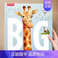 (成长)小小的,大大的 [正版] 儿童绘本3到4-6岁读物幼儿园阅读绘本儿童图画故事书睡前故事阅读自信想像力情商培养亲情
