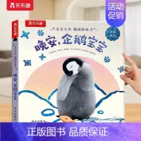 触摸书⭐晚安,企鹅宝宝 [正版] 触摸书小幼儿0-3岁早教书籍婴儿启蒙亲亲宝贝推拉洞洞1岁2宝宝睡前晚安读物亲子书不