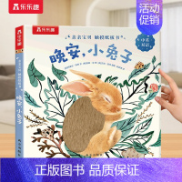 触摸书⭐晚安,小 [正版] 触摸书婴儿0-3岁晚安企鹅宝宝幼儿早教书籍启蒙亲亲宝贝推拉洞洞1岁2宝宝睡前晚安读物亲子