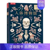 奇迹博物馆 人体博物馆 [正版] 奇迹博物馆系列4册套装 3-8岁儿童科普百科 恐龙+人体+太空+菌菇 揭秘恐龙的秘