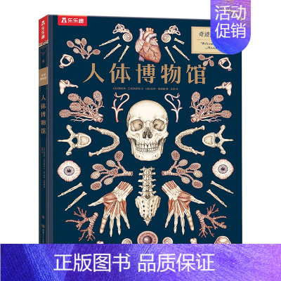 奇迹博物馆 人体博物馆 [正版] 奇迹博物馆系列4册套装 3-8岁儿童科普百科 恐龙+人体+太空+菌菇 揭秘恐龙的秘