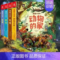 揭秘小世界第二辑 [正版] 立体书揭秘翻翻书揭秘小世界全系列套装0-1-2-3岁幼儿绘本早教益智洞洞书