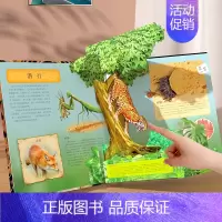 勿拍2 [正版] 立体书儿童3D掠食动物趣味科普3-4-6-8-10-12岁以上科普百科全书翻翻书学前幼儿园小学生青少年