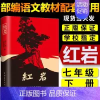[正版]红岩初中版初中生版青少年中学生课外书籍文学小说书红岩书原版罗广斌杨益言原著红颜在烈火中 中国青年出版社