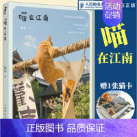 喵在江南 [正版]出版社喵在江南 徐岩猫咪摄影集写真随笔可爱宠物街猫拍摄照片相册萌趣猫猫照片喵星人摄影画册创意礼物