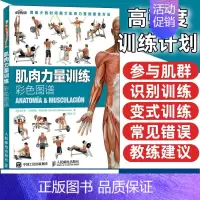 [正版]肌肉力量训练彩色图谱 体育保健学拉伸减脂增肌训练塑造书 运动健身房健身教练肌肉训练图谱图书籍
