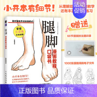 腿脚 漫画教程口袋书 人物腿脚绘画手绘 *基础漫画人物腿脚教程书 二次元插画动漫 练习素材丰富 [正版]腿脚 漫画教程口