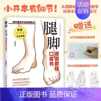 腿脚 漫画教程口袋书 人物腿脚绘画手绘 *基础漫画人物腿脚教程书 二次元插画动漫 练习素材丰富 [正版]腿脚 漫画教程口