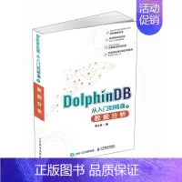 DolphinDB 从入门到精通之数据分析 分布式时序数据库大数据分析脚本语言金融和物联网应用 [正版]DolphinD