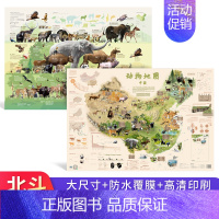 [共2张]动物地图·中国 [正版]北斗新版中国世界简史地图唐诗宋词地图 儿童房高清防水大尺寸挂画百科地图 学生家用地理历