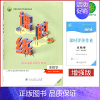 人教生物必修2课时练[含课后评价] 高中通用 [正版]人教版高中课时练增强版数学英语物理化学思想政治生物历史必修一二三四