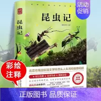 昆虫记 [正版]昆虫记原著完整版法布尔著全集小学生三四年级下册必读的课外书老师美绘少儿版人民儿童文学教育阅读书籍
